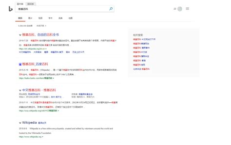 BING 更时尚、现代的必应 & CLEAN DESIGN | Userstyles.org