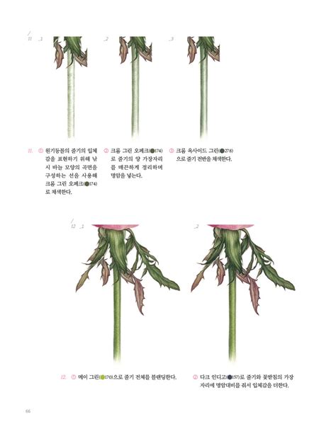 알라딘 미리보기 기초 보태니컬 아트