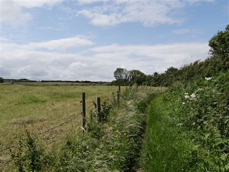 The Cleveland Way Near Beast Cliff Habiloid Cc By Sa Geograph