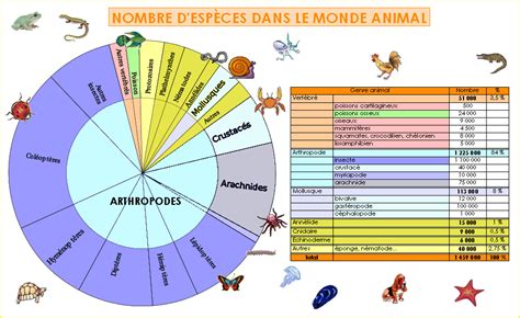 La Classification Des Animaux