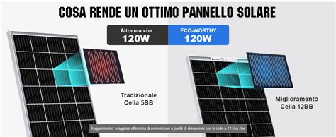 Eco Worthy Bifacciale Watt Volt Pannello Solare Monocristallino