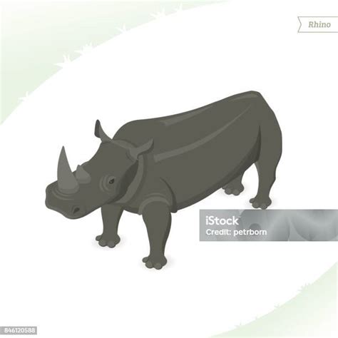 Rhino 흰색 배경에 고립입니다 3차원 형태에 대한 스톡 벡터 아트 및 기타 이미지 3차원 형태 공격성 근육질 체격