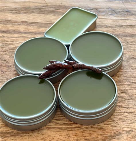 How To Make Balm Of Gilead Salve From Foraged Cottonwood Tree Buds — All Posts Healing Harvest