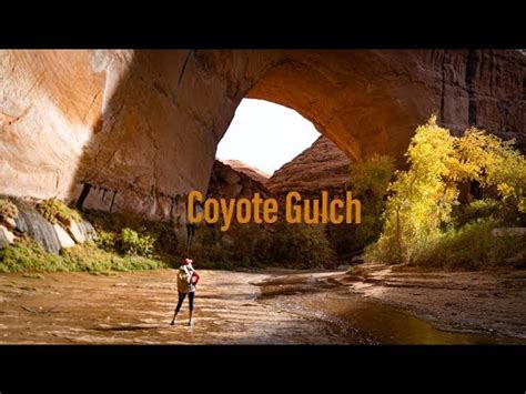 Backpacking Coyote Gulch In K Grand Staircase Escalante