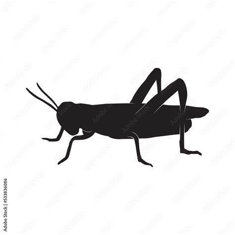 Grasshopper Silhouette