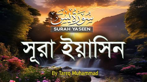 সকালের প্রশান্তির জন্য সূরা ইয়াসিন سورة ياسين Most Beautiful Surah