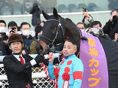 【阪神c】売上は55億9671万7800円で昨年から減少 競馬ニュース Netkeiba