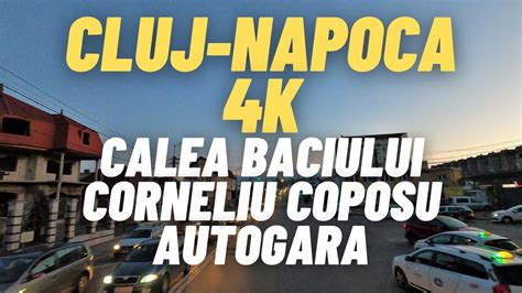 Cluj Napoca Calea Baciului Corneliu Coposu Autogara Dedeman