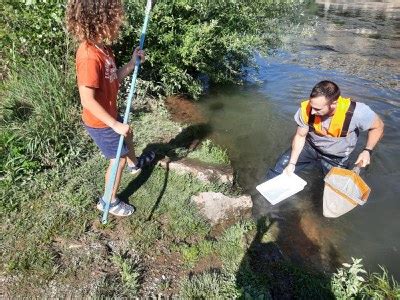 Las Ecoactividades muestran los insectos acuáticos que habitan el río