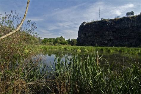 Con Plan De Manejo Adaptativo Conservan Reserva Ecol Gica Del Pedregal