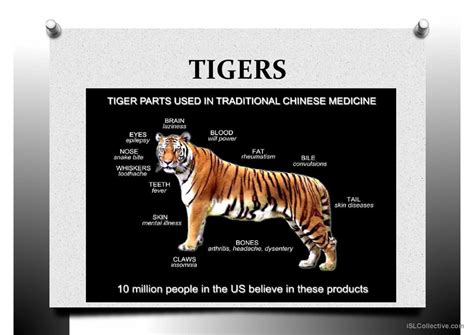 POACHING general readin…: English ESL powerpoints