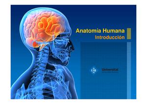 Guía de laboratorio 1 Macroanatomía Objetivos específicos Contenido 1