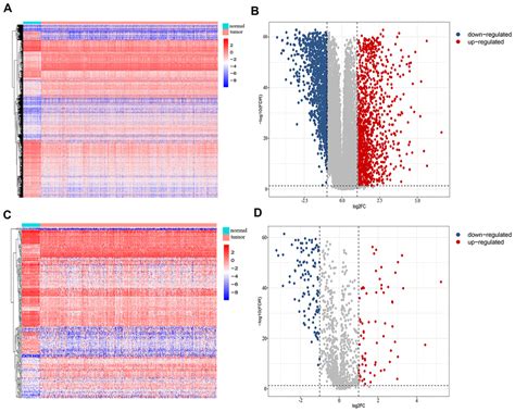 Construction And Validation Of An Immunity Related Prognostic Signature