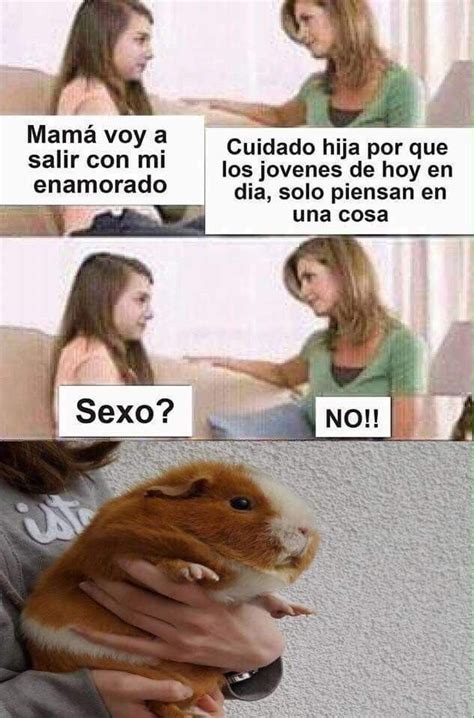 Pin de Lisset Andino en memes 2 Imágenes divertidas Imagenes de risa