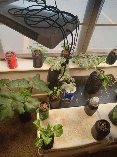 My indoor grow setup. : r/Hydroponics