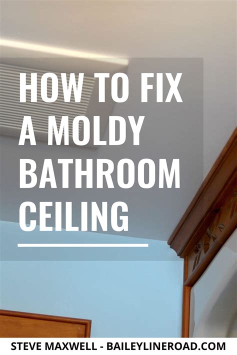 How To Kill Mold Watch Bathroom Ceiling Fix Artofit