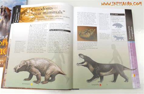 Resenha Livro National Geographic Prehistoric Mammals Alan Turner