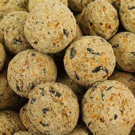 Busybeaks Suet Fat Balls Premium Garden Wild Bird Food Enhanced