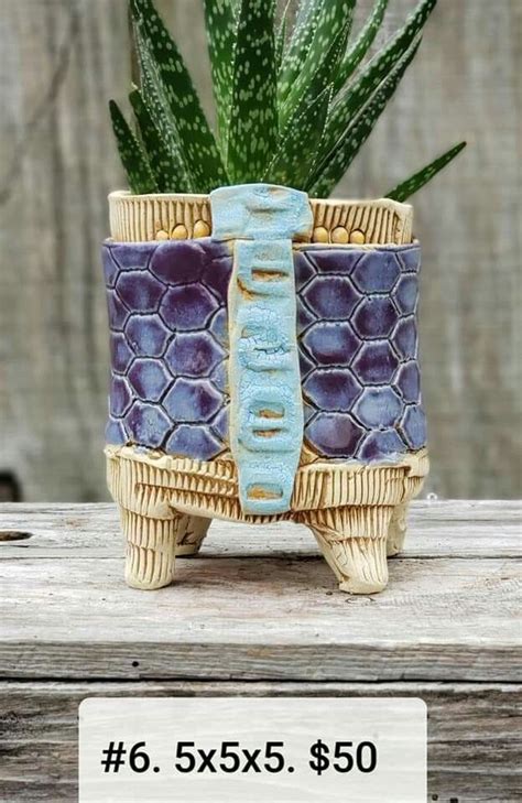 A Potted Plant Sitting On Top Of A Wooden Table Next To A Price Label