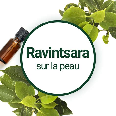 Comment Et Pourquoi Utiliser Le Ravintsara Sur La Peau