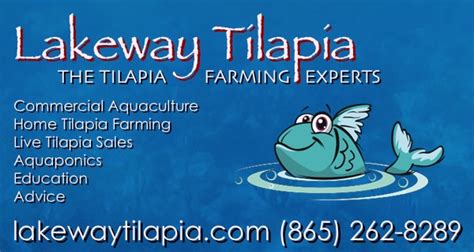 Tilapia farming guide - Understanding tilapia farming systems