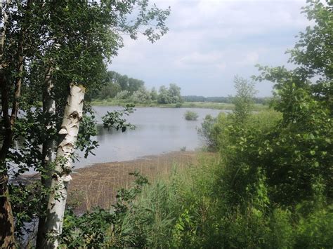 Am S Wasserteich Im Schellbruch L Beck Ngidn Flickr