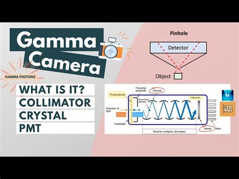 Gamma Camera: Components & Function Explained | SchoolTube