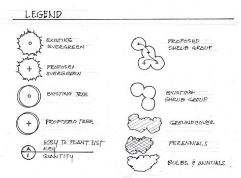 Landscape Tree Symbols Landscape Architecture Plants Landscape