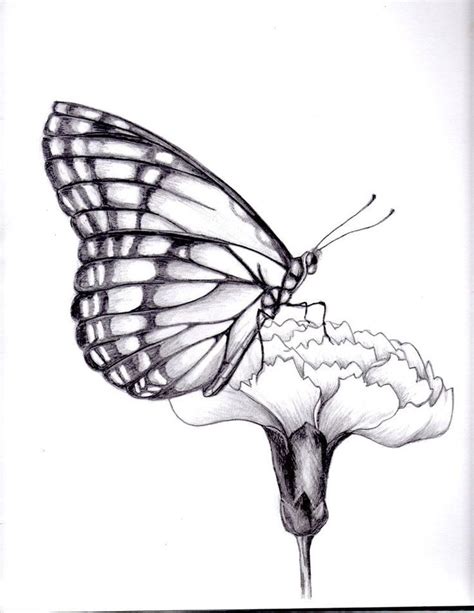 Pencil Drawing Butterfly Dessin Papillon Tutoriels Pour Dessin De