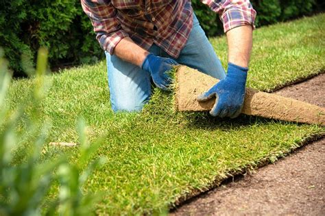 CÓMO Y CUÁNDO PLANTAR CÉSPED NATURAL EN TU JARDÍN