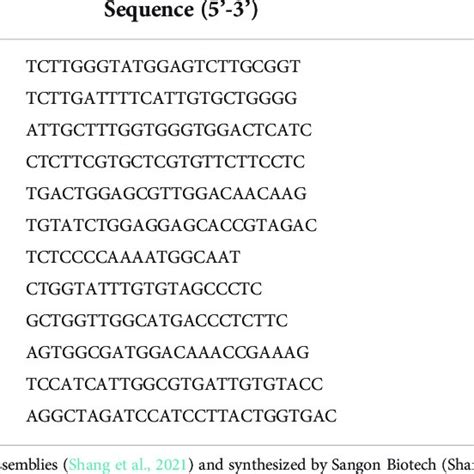 Primer Sequences Of Detected Genes For Qpcr Download Scientific Diagram