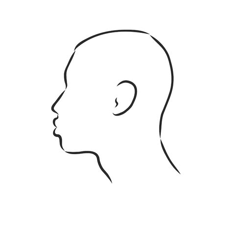 Premium Vector Outline Side Profile Of A Human Male Head Male