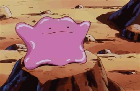 Pokemon Ditto  Pokemon  Pokemon Ditto Pokemon Memes