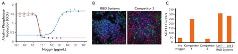 Optimizing Organoid Culture Conditions With Randd Systems Proteins Bio