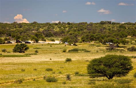 Kgalagadi Transfrontier Park – Travel Guide, Map & More!