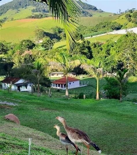 Pin De Gilvan Raimundo Em Sertanejo Lindas Paisagens Lugares