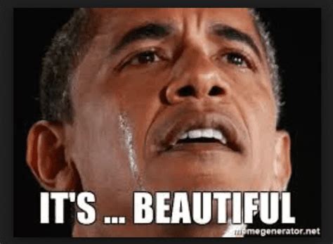 beautiful memes  share today sayingimagescom