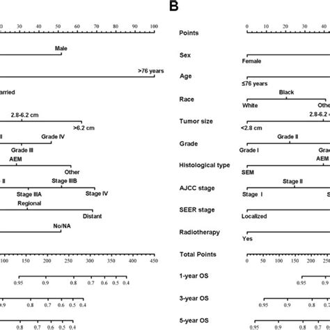 Nomogram Predicting And Year Overall Survival Os And