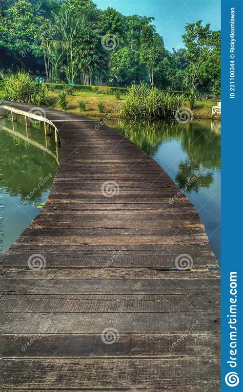 Ponte De Madeira No Meio Do Lago Para Atravessar O Lago Foto De Stock