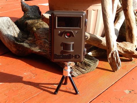 Powell River Books Blog: Bushnell Trophy Cam HD