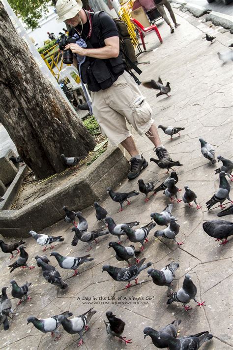 Feeding The Birds In Bangkok Welcome To Erins World