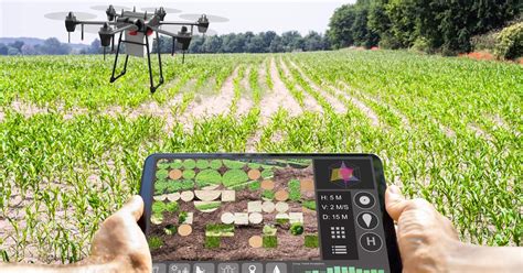 Qu Es La Agricultura Digital Y Por Qu Es Importante Para La Econom A