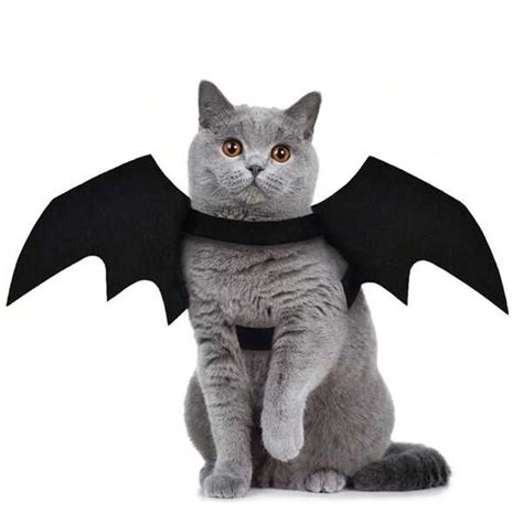 Costume D halloween Pour Chiens 1 Pièce Ailes De Chauve souris Pour