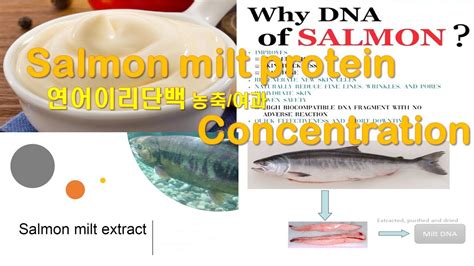 Salmon Milt Proteinfmx B220804 Youtube