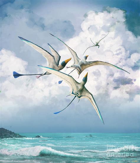 Rhamphorhynchus Pterosaurs Photograph By Mark P Wittonscience Photo