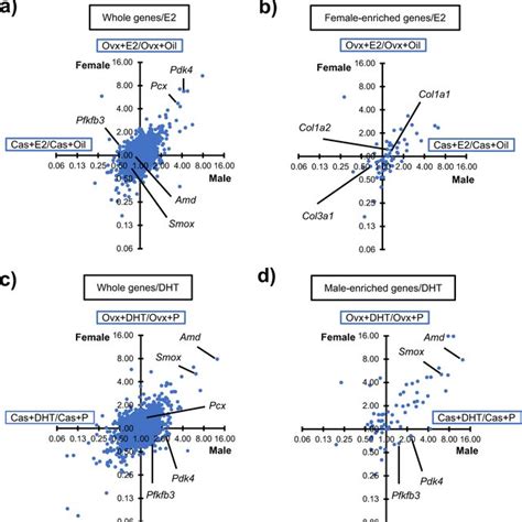 Identification Of Genes Whose Expression Is Potentially Affected By Sex