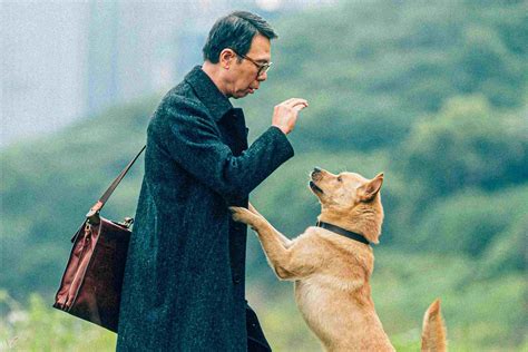 Foto Do Filme Hachiko Para Sempre Foto De Adorocinema