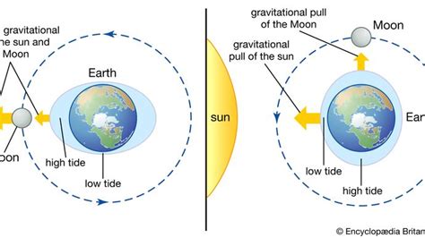 Amphidromic Point Earth Science Britannica