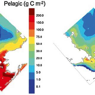 6 Modeled annual primary production in the ocean upper 100 m ( top left... | Download Scientific ...