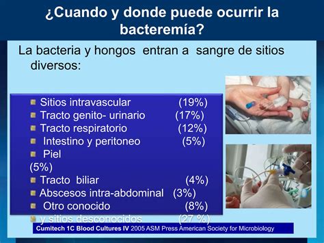 Hemocultivo En Infecciones Del Torrente Sanguineo Pptx